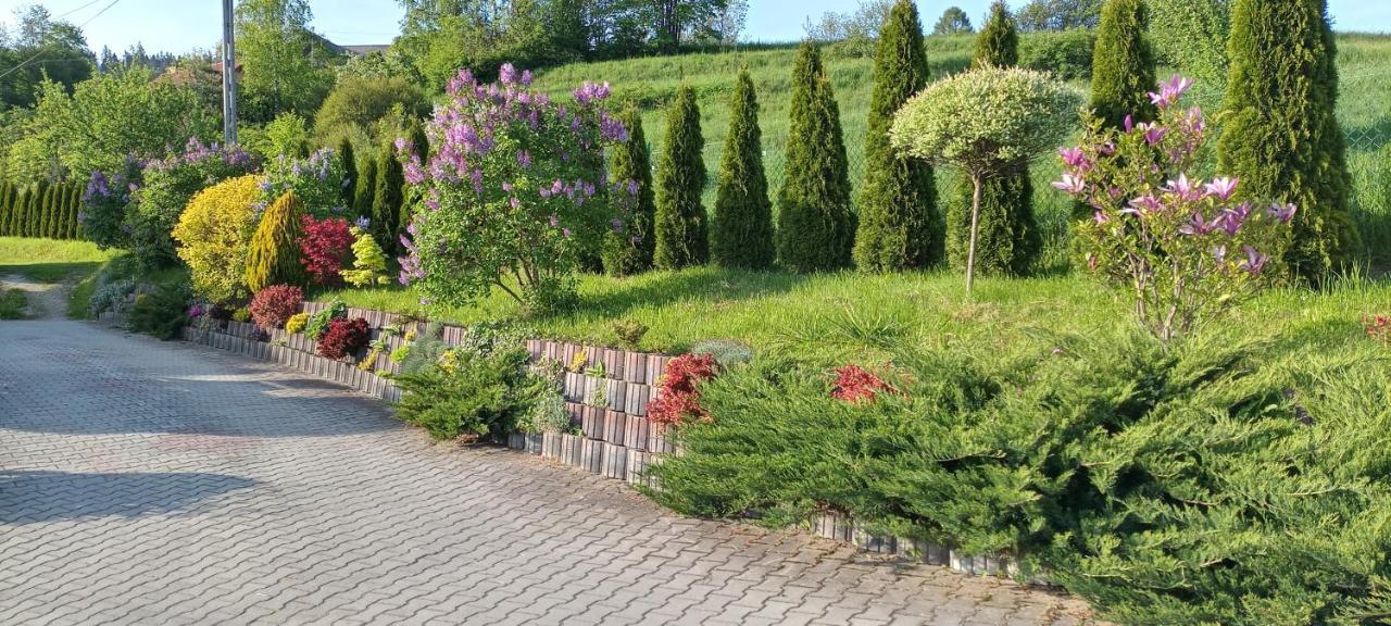 Farm stay U Solany Knurow (Lesser Poland)